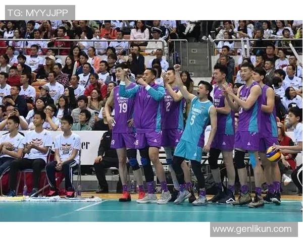 深圳排球队逆袭之路的真实故事与奋斗精神全记录